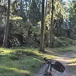 Bringfriede