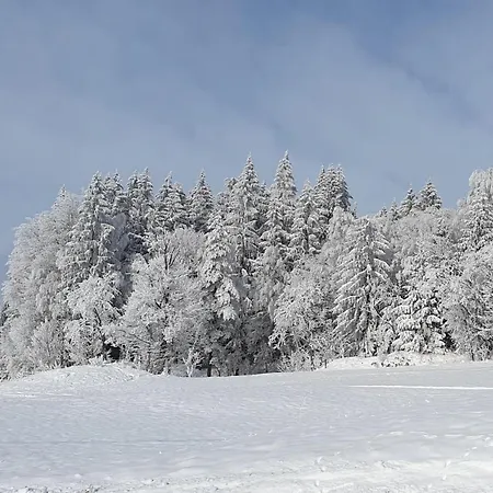 Bringfriede * Muldenhammer
