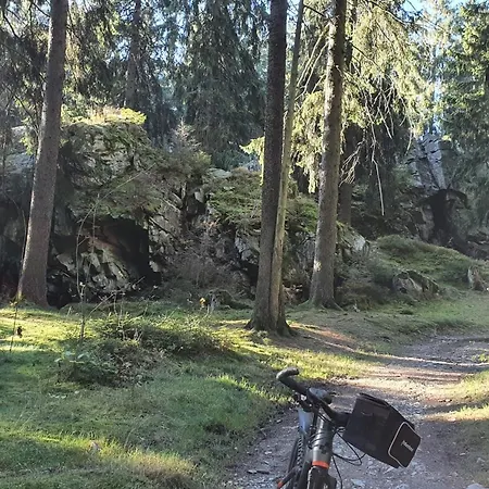 Bringfriede