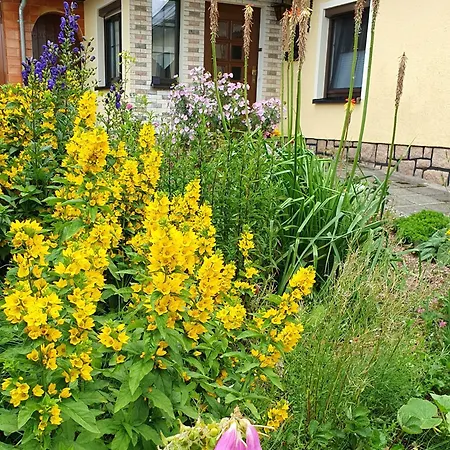 Apartament Bringfriede Muldenhammer