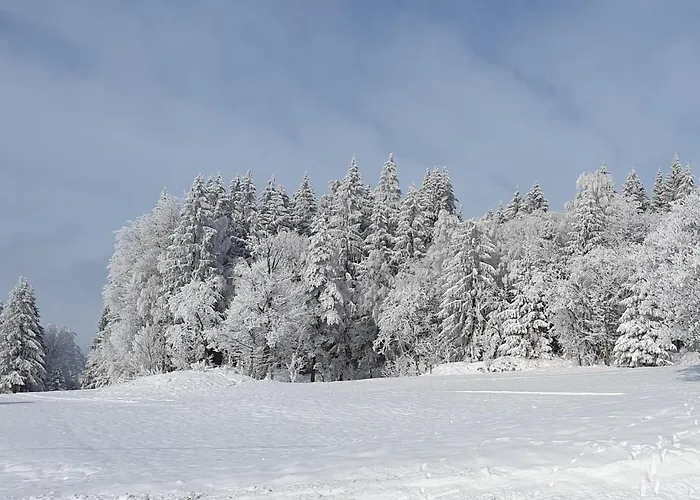 Bringfriede * Muldenhammer