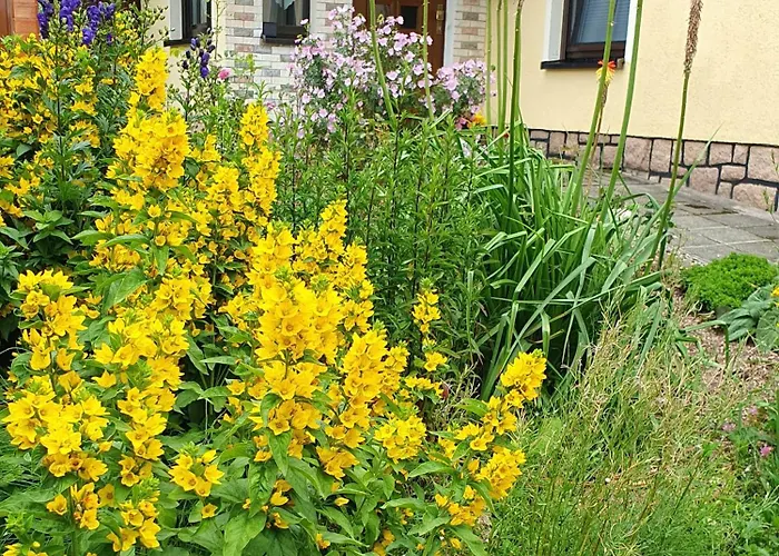 Appartement Bringfriede Muldenhammer