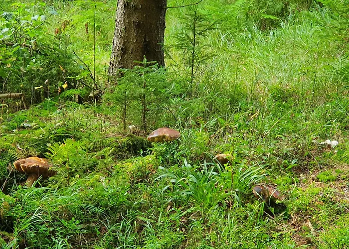 Bringfriede Muldenhammer